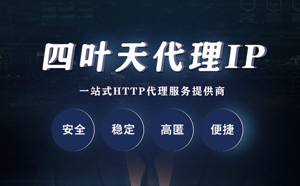 【六盘水代理IP】代理ip客户端使用教程