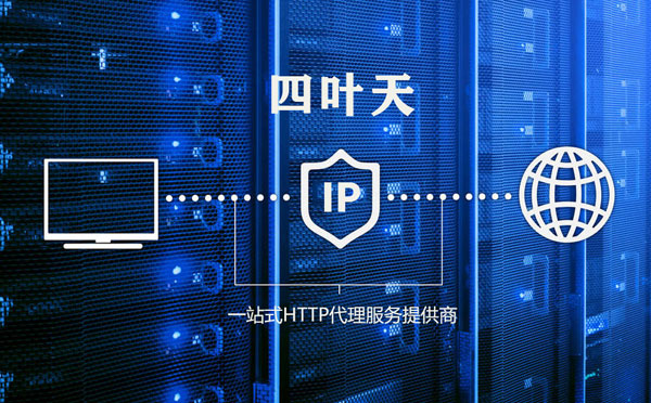 【六盘水代理IP】高质量IP代理的最重要因素?